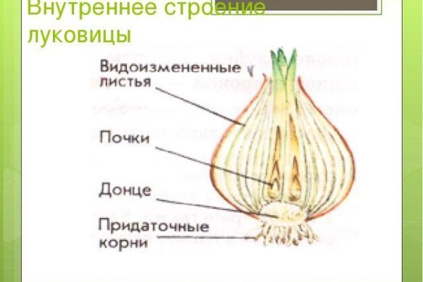 Заказать даркнет