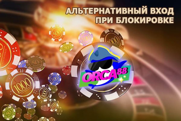 Как зайти на кракен с телефона андроид