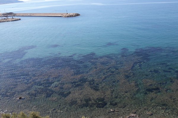 Кракен марке